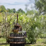 Casa Borgo Di Calmasino * Bardolino